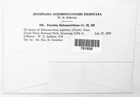 Image Associated With the Occurence